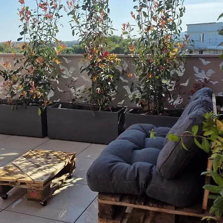 アパート Superbe T3 Neuf Meuble 65m2 En Roof Avec Espace Terrasse De 45 M2 Pergola Bbq *